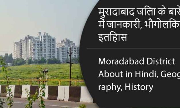 मुरादाबाद जिला के बारे में जानकारी, भौगोलिक, इतिहास | Moradabad District About in Hindi, Geography, History