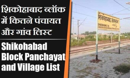 शिकोहाबाद ब्लॉक में कितने पंचायत और गांव लिस्ट | Shikohabad Block Panchayat and Village List