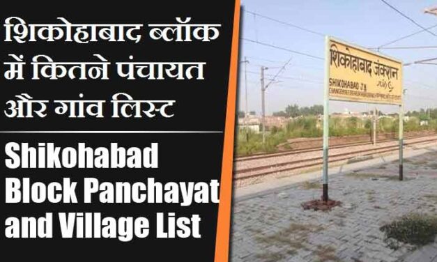 शिकोहाबाद ब्लॉक में कितने पंचायत और गांव लिस्ट | Shikohabad Block Panchayat and Village List