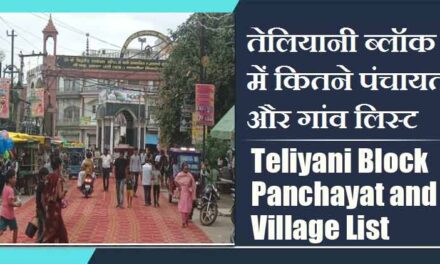 तेलियानी ब्लॉक में कितने पंचायत और गांव लिस्ट | Teliyani Block Panchayat and Village List