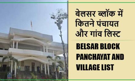 बेलसर ब्लॉक में कितने पंचायत और गांव लिस्ट | Belsar Block Panchayat and Village List
