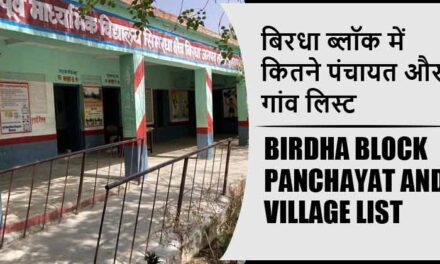बिरधा ब्लॉक में कितने पंचायत और गांव लिस्ट | Birdha Block Panchayat and Village List