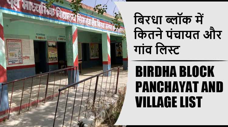 बिरधा ब्लॉक में कितने पंचायत और गांव लिस्ट | Birdha Block Panchayat and Village List
