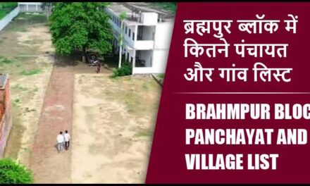 ब्रह्मपुर ब्लॉक में कितने पंचायत और गांव लिस्ट | Brahmpur Block Panchayat and Village List