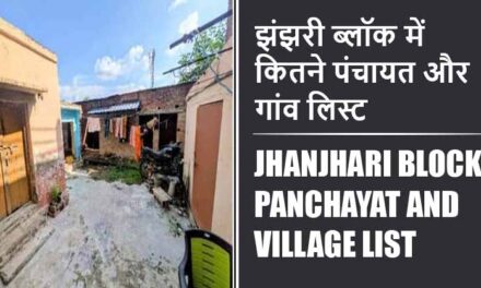 झंझरी ब्लॉक में कितने पंचायत और गांव लिस्ट | Jhanjhari Block Panchayat and Village List