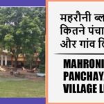 महरौनी ब्लॉक में कितने पंचायत और गांव लिस्ट | Mahroni Block Panchayat and Village List