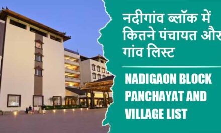 नदीगांव ब्लॉक में कितने पंचायत और गांव लिस्ट | Nadigaon Block Panchayat and Village List