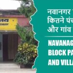 नवानगर ब्लॉक में कितने पंचायत और गांव लिस्ट | Navanagar Block Panchayat and Village List