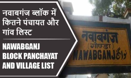 नवाबगंज ब्लॉक में कितने पंचायत और गांव लिस्ट | Nawabganj Block Panchayat and Village List