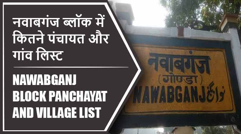 नवाबगंज ब्लॉक में कितने पंचायत और गांव लिस्ट | Nawabganj Block Panchayat and Village List