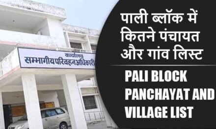 पाली ब्लॉक में कितने पंचायत और गांव लिस्ट | Pali Block Panchayat and Village List