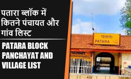 पतारा ब्लॉक में कितने पंचायत और गांव लिस्ट | Patara Block Panchayat and Village List