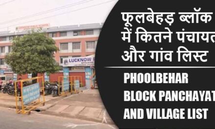 फूलबेहड़ ब्लॉक में कितने पंचायत और गांव लिस्ट | Phoolbehar Block Panchayat and Village List