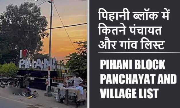 पिहानी ब्लॉक में कितने पंचायत और गांव लिस्ट | Pihani Block Panchayat and Village List