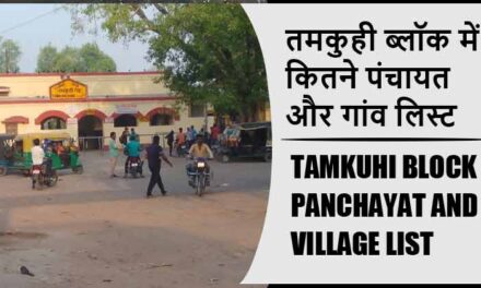 तमकुही ब्लॉक में कितने पंचायत और गांव लिस्ट | Tamkuhi Block Panchayat and Village List