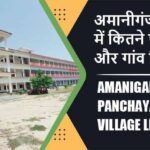अमानीगंज ब्लॉक में कितने पंचायत और गांव लिस्ट | Amaniganj Block Panchayat and Village List