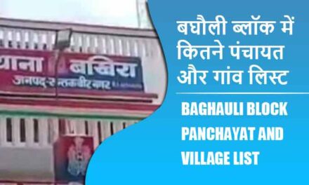 बघौली ब्लॉक में कितने पंचायत और गांव लिस्ट | Baghauli Block Panchayat and Village List