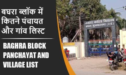 बघरा ब्लॉक में कितने पंचायत और गांव लिस्ट | Baghra Block Panchayat and Village List