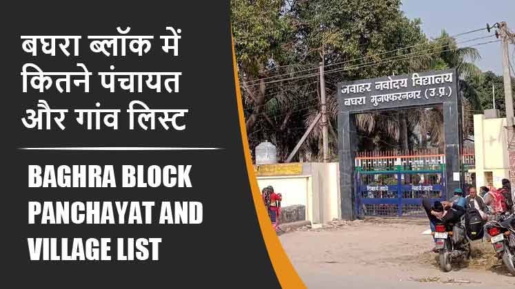 बघरा ब्लॉक में कितने पंचायत और गांव लिस्ट | Baghra Block Panchayat and Village List