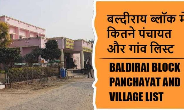 बल्दीराय ब्लॉक में कितने पंचायत और गांव लिस्ट | Baldirai Block Panchayat and Village List