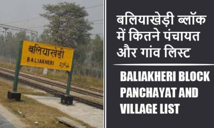 बलियाखेड़ी ब्लॉक में कितने पंचायत और गांव लिस्ट | Baliakheri Block Panchayat and Village List