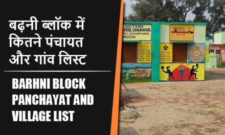 बढ़नी ब्लॉक में कितने पंचायत और गांव लिस्ट | Barhni Block Panchayat and Village List