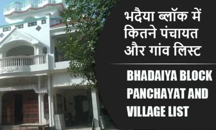 भदैया ब्लॉक में कितने पंचायत और गांव लिस्ट | Bhadaiya Block Panchayat and Village List