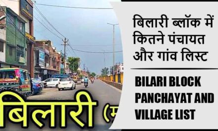 बिलारी ब्लॉक में कितने पंचायत और गांव लिस्ट | Bilari Block Panchayat and Village List