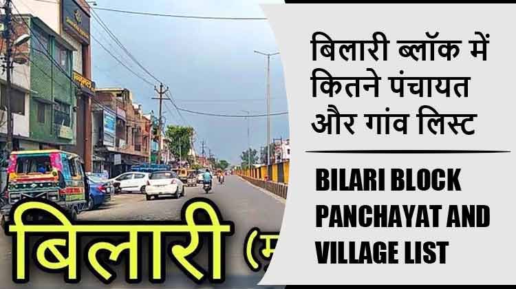बिलारी ब्लॉक में कितने पंचायत और गांव लिस्ट | Bilari Block Panchayat and Village List