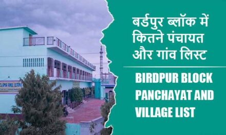 बर्डपुर ब्लॉक में कितने पंचायत और गांव लिस्ट | Birdpur Block Panchayat and Village List