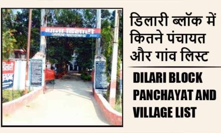 डिलारी ब्लॉक में कितने पंचायत और गांव लिस्ट | Dilari Block Panchayat and Village List