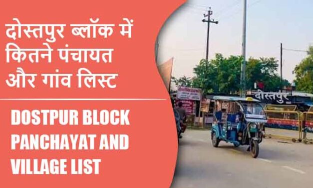 दोस्तपुर ब्लॉक में कितने पंचायत और गांव लिस्ट | Dostpur Block Panchayat and Village List
