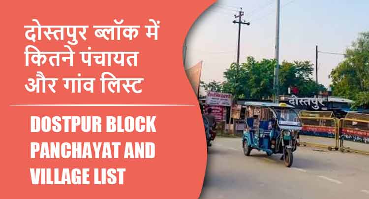 दोस्तपुर ब्लॉक में कितने पंचायत और गांव लिस्ट | Dostpur Block Panchayat and Village List