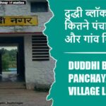 दुद्धी ब्लॉक में कितने पंचायत और गांव लिस्ट | Duddhi Block Panchayat and Village List