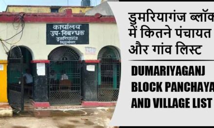 डुमरियागंज ब्लॉक में कितने पंचायत और गांव लिस्ट | Dumariyaganj Block Panchayat and Village List