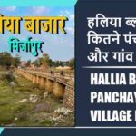 हलिया ब्लॉक में कितने पंचायत और गांव लिस्ट | Hallia Block Panchayat and Village List
