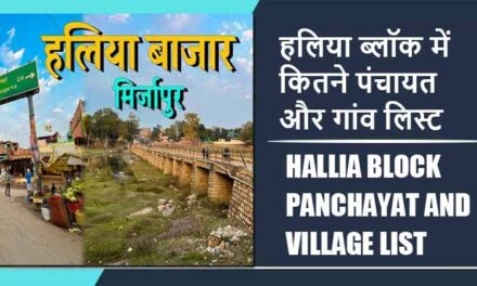 हलिया ब्लॉक में कितने पंचायत और गांव लिस्ट | Hallia Block Panchayat and Village List