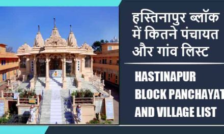 हस्तिनापुर ब्लॉक में कितने पंचायत और गांव लिस्ट | Hastinapur Block Panchayat and Village List