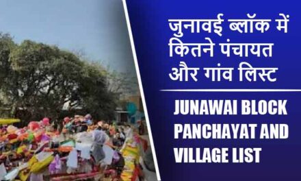 जुनावई ब्लॉक में कितने पंचायत और गांव लिस्ट | Junawai Block Panchayat and Village List
