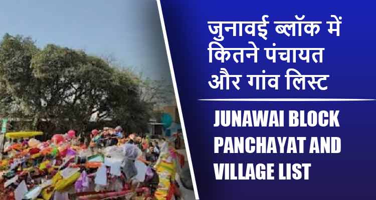 जुनावई ब्लॉक में कितने पंचायत और गांव लिस्ट | Junawai Block Panchayat and Village List