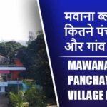 मवाना ब्लॉक में कितने पंचायत और गांव लिस्ट | Mawana Block Panchayat and Village List