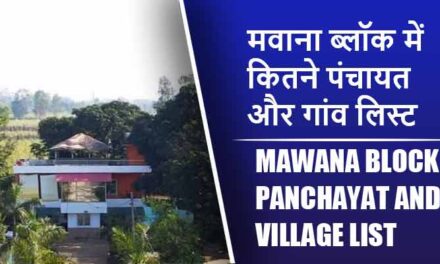 मवाना ब्लॉक में कितने पंचायत और गांव लिस्ट | Mawana Block Panchayat and Village List