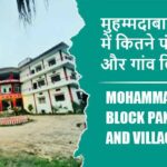 मुहम्मदाबाद ब्लॉक में कितने पंचायत और गांव लिस्ट | Mohammadabad Block Panchayat and Village List