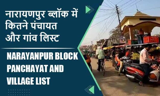 नारायणपुर ब्लॉक में कितने पंचायत और गांव लिस्ट | Narayanpur Block Panchayat and Village List