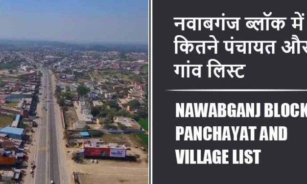 नवाबगंज ब्लॉक में कितने पंचायत और गांव लिस्ट | Nawabganj Block Panchayat and Village List