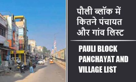 पौली ब्लॉक में कितने पंचायत और गांव लिस्ट | Pauli Block Panchayat and Village List