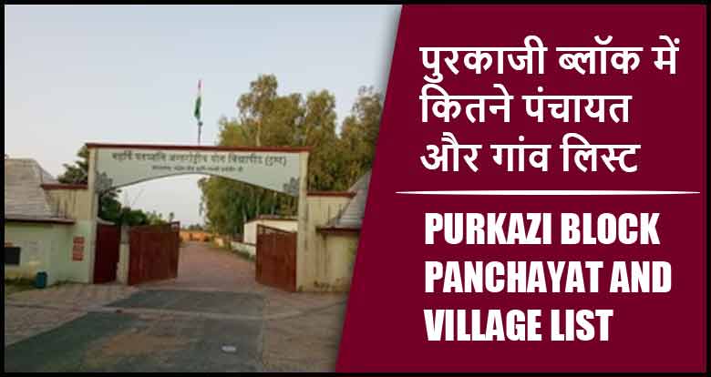 पुरकाजी ब्लॉक में कितने पंचायत और गांव लिस्ट | Purkazi Block Panchayat and Village List