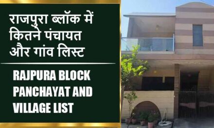 राजपुरा ब्लॉक में कितने पंचायत और गांव लिस्ट | Rajpura Block Panchayat and Village List