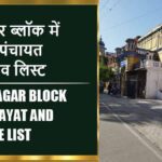 सैदनगर ब्लॉक में कितने पंचायत और गांव लिस्ट | Saidnagar Block Panchayat and Village List