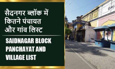 सैदनगर ब्लॉक में कितने पंचायत और गांव लिस्ट | Saidnagar Block Panchayat and Village List